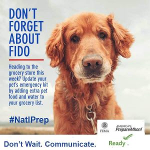 NatlPrep_10_medium